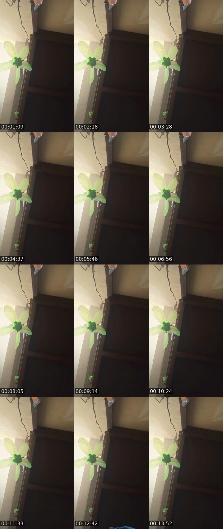 Contact-sheet preview of 𝔼𝕝𝕒𝕚𝕟𝕖🅴🆈🅴🦅🤗's MICO Live recording