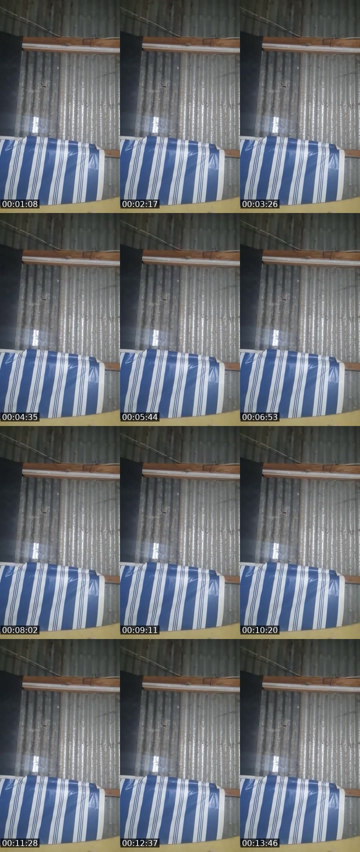 Contact-sheet preview of 🦋LIMAR ☪️ MHA-7741's MICO Live recording
