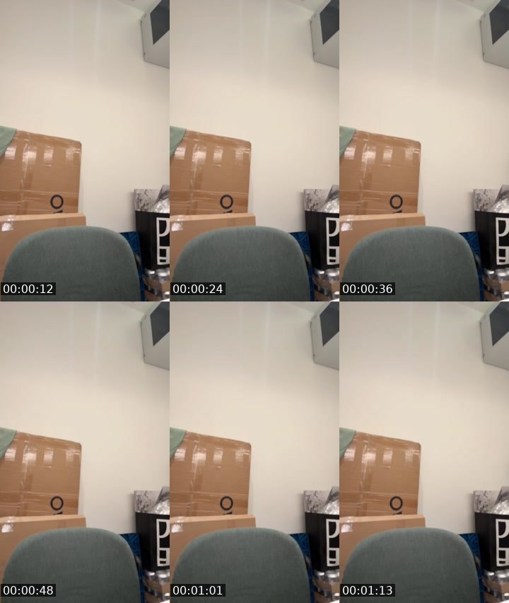 Contact-sheet preview of new VJ [🦕] hwahwa🐨🍃's MICO Live recording