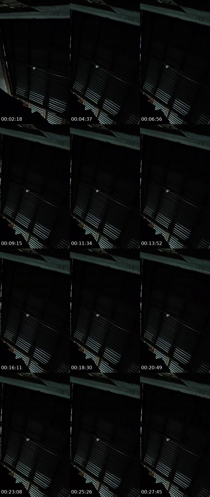 Contact-sheet preview of 🐺𝓔𝓵𝔂🎱ᵂᵃᵛᵉˢ's MICO Live recording