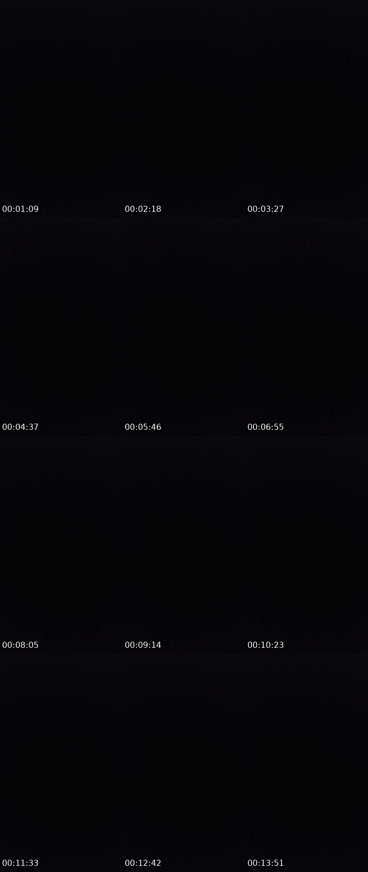Contact-sheet preview of 〄ᶫ LΞG i̶〄И's MICO Live recording