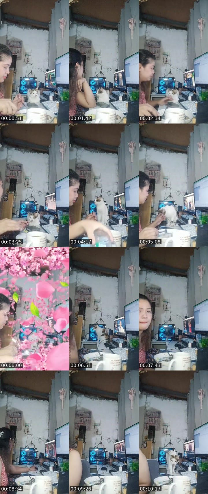 Contact-sheet preview of 🐈‍⬛Sakura🎱ᵂᵃᵛᵉˢ's MICO Live recording