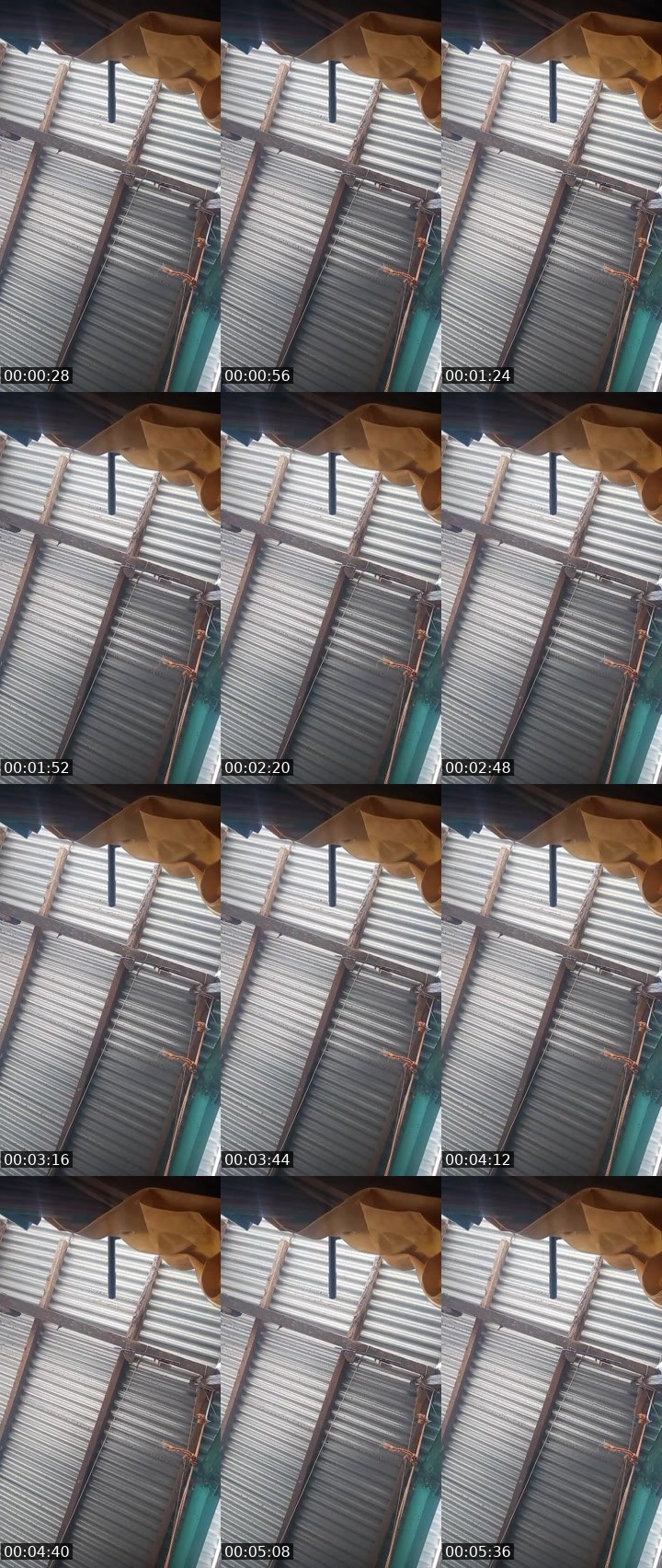 Contact-sheet preview of 🔯Marsᴶᵃᶻᶻ💅🏼's MICO Live recording