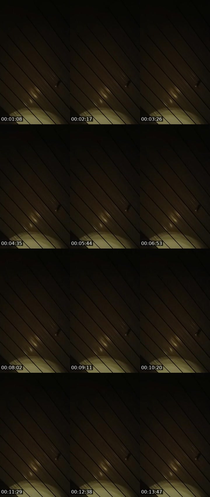 Contact-sheet preview of ♋ALICEEYY🎱ᵂᵃᵛᵉˢ's MICO Live recording