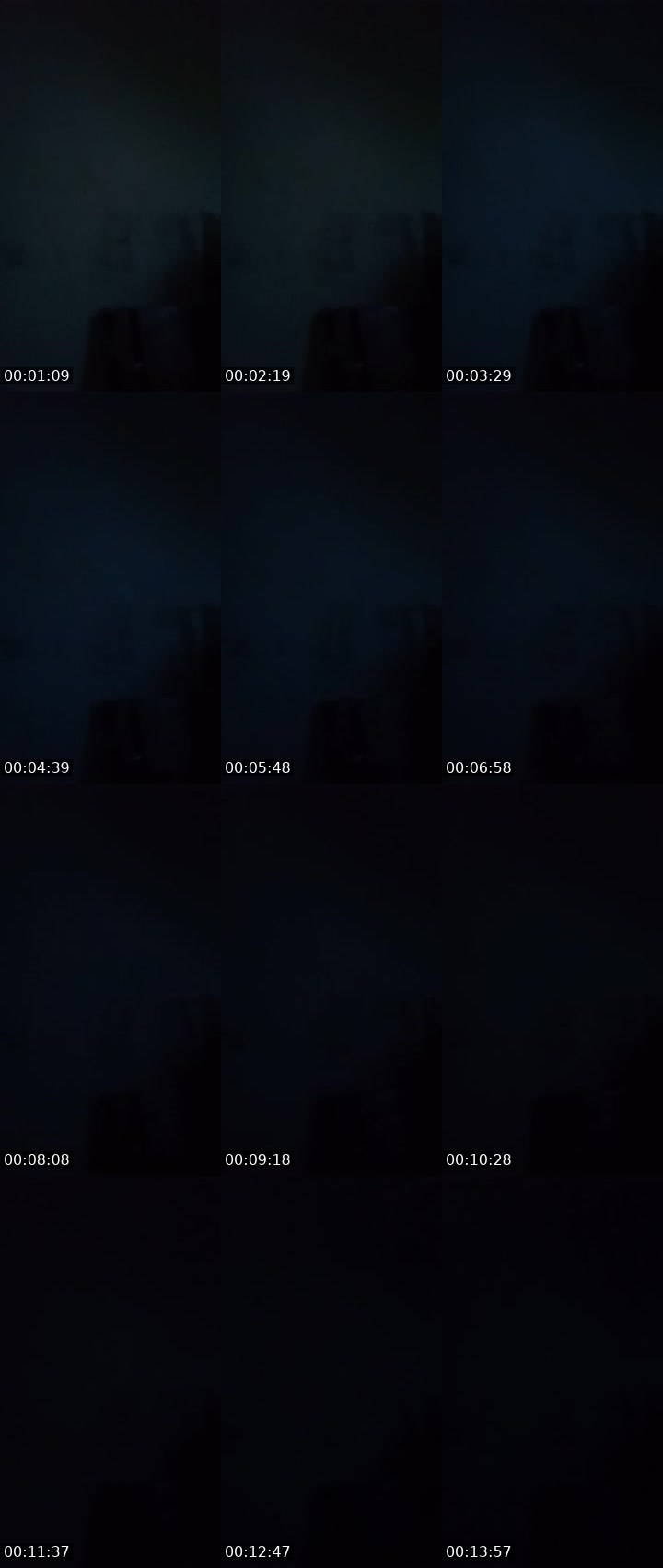 Contact-sheet preview of 💠Viviana🦖's MICO Live recording