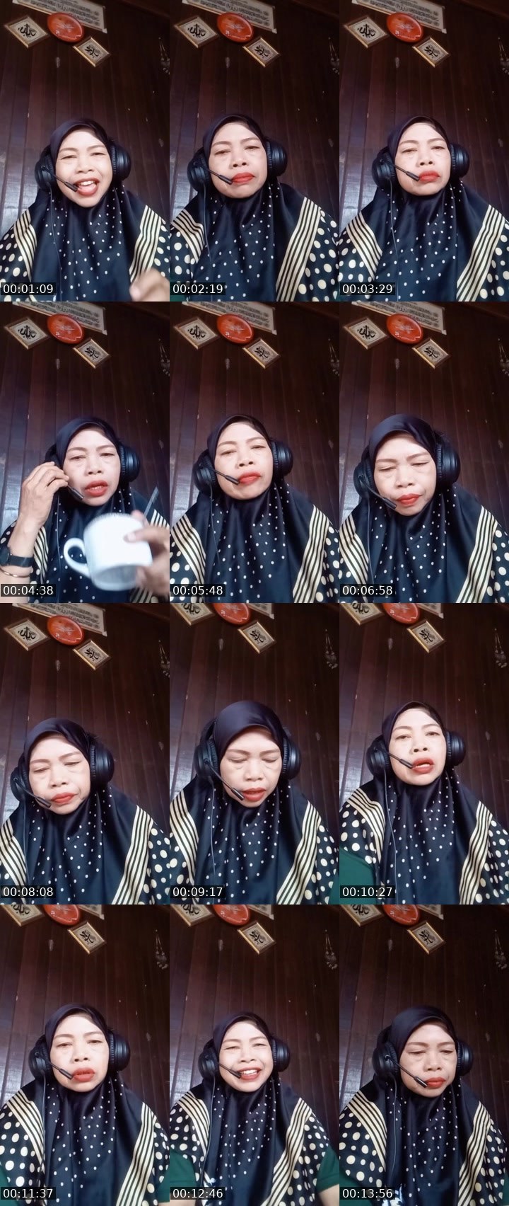 Contact-sheet preview of 🎠🧊Bunang°ᴹᴳᴿ's MICO Live recording