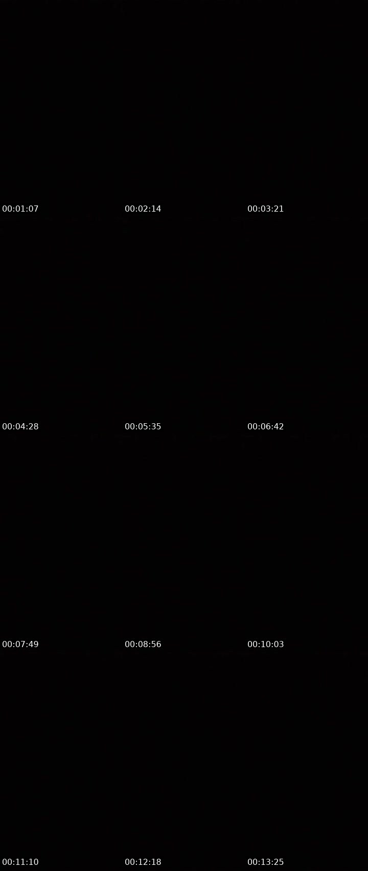 Contact-sheet preview of SILENT's MICO Live recording