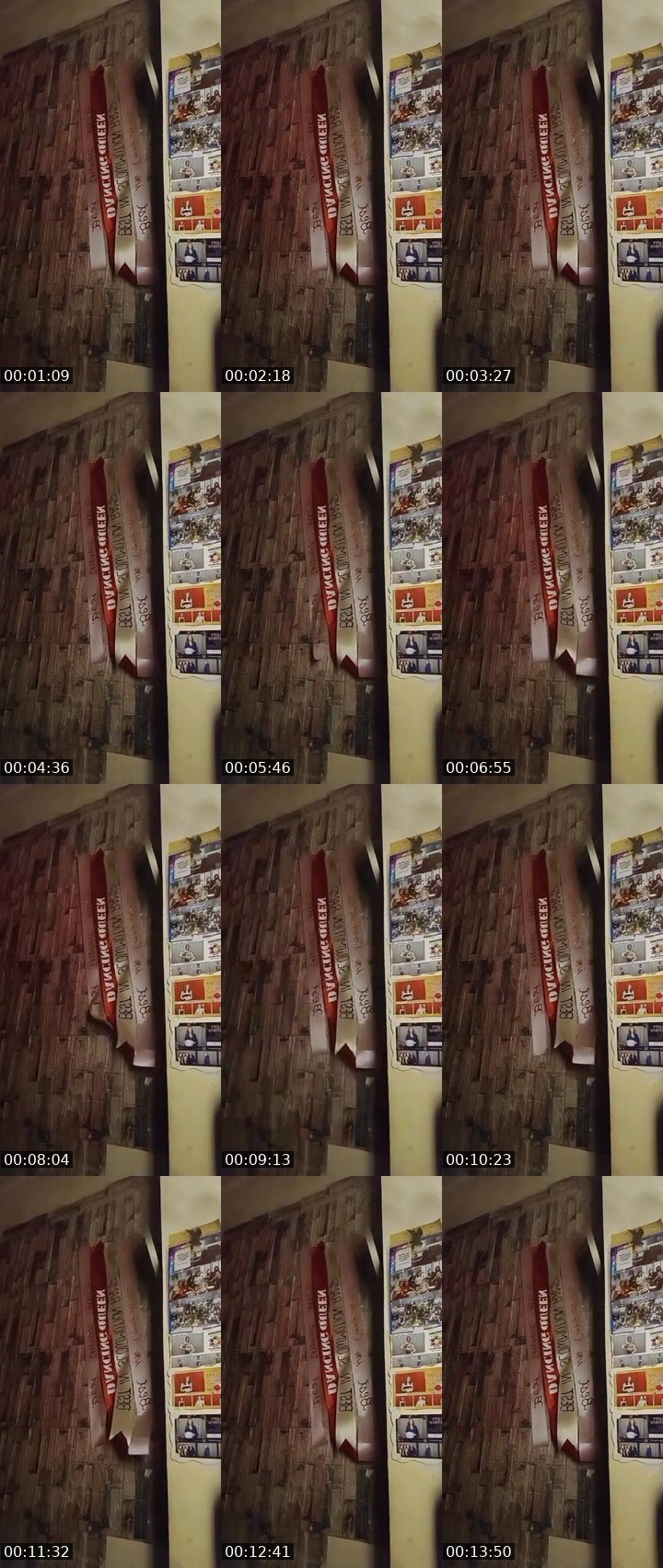 Contact-sheet preview of 🤝 Angel⁷⁰⁸³🦅Unity ❤️ 💪's MICO Live recording