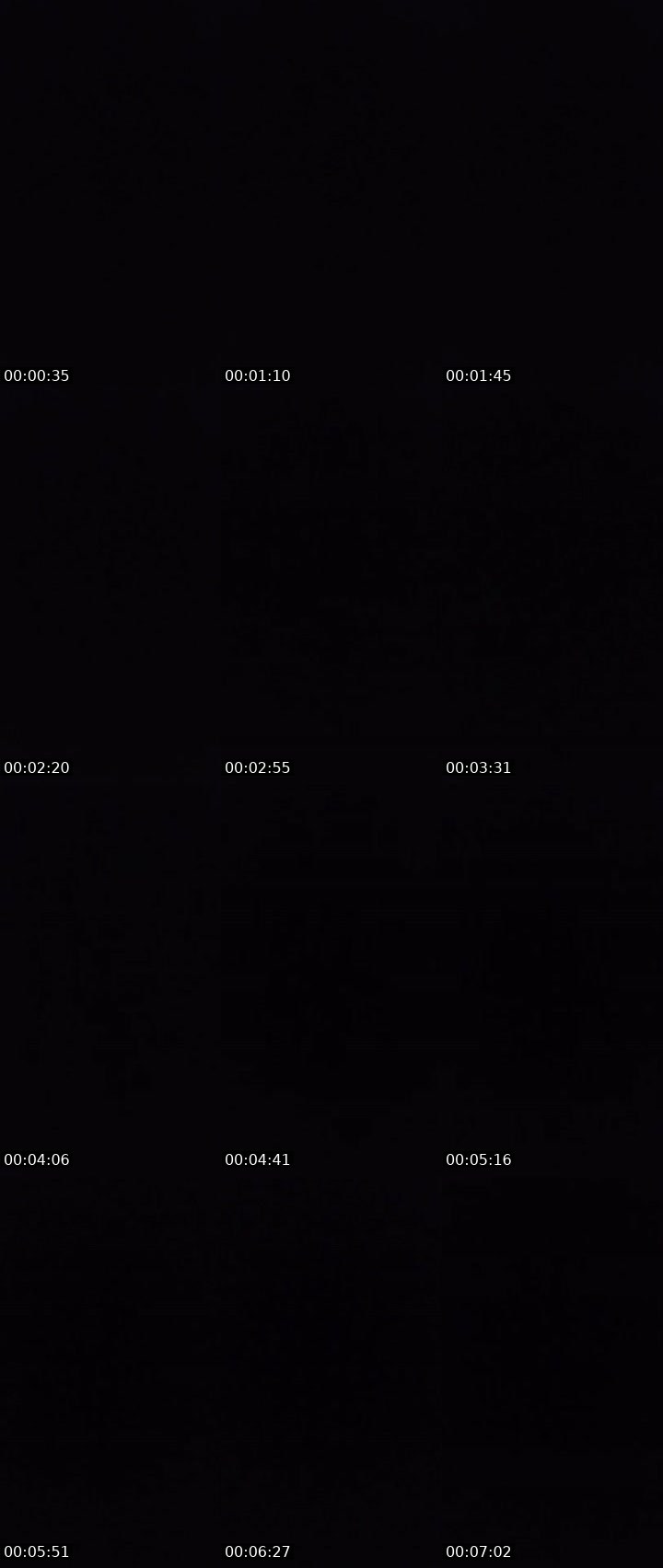Contact-sheet preview of 🙀ᴸᴹMARGO🦋💠's MICO Live recording